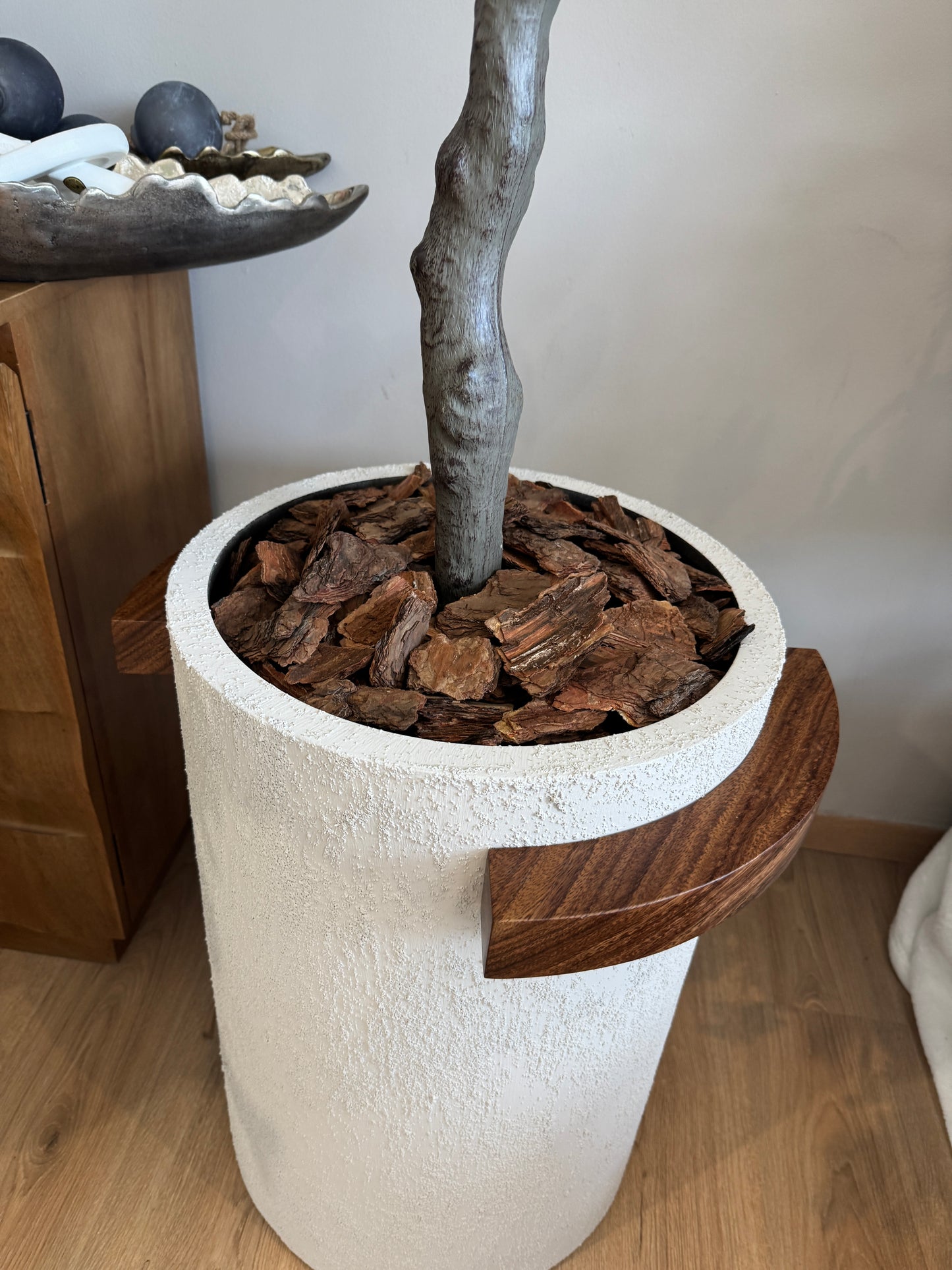 Arbol DOLAR con maceta VR