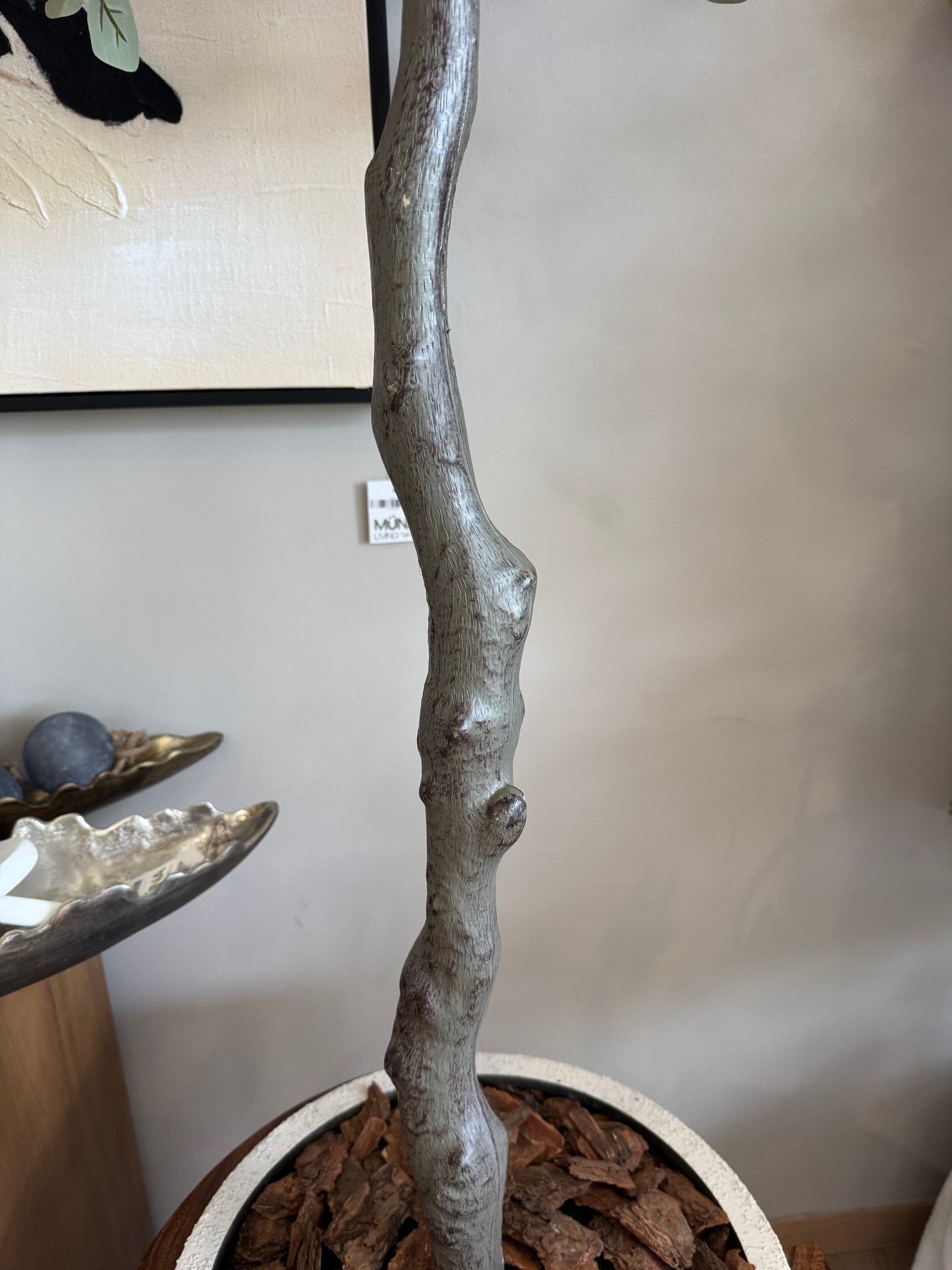 Arbol DOLAR con maceta VR