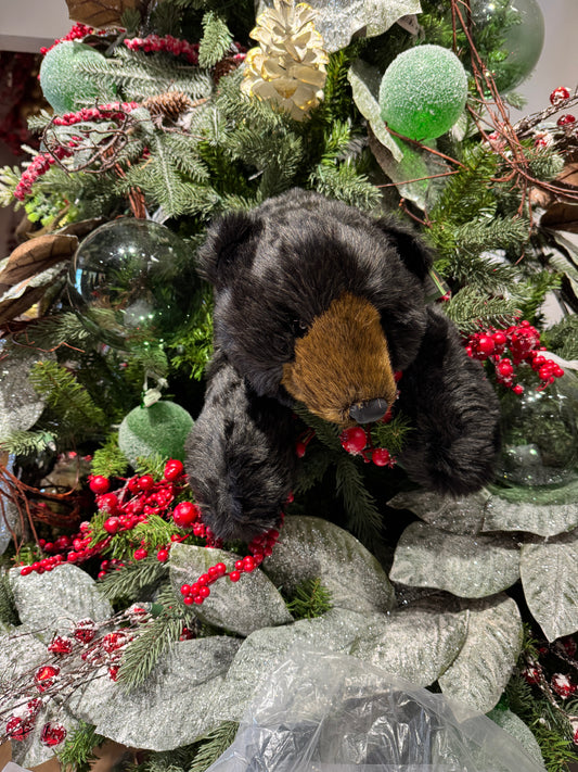 Osos negros VR / Black Bears VR