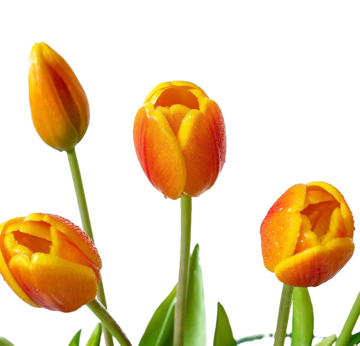 Flores Tulipanes Real Touch VR