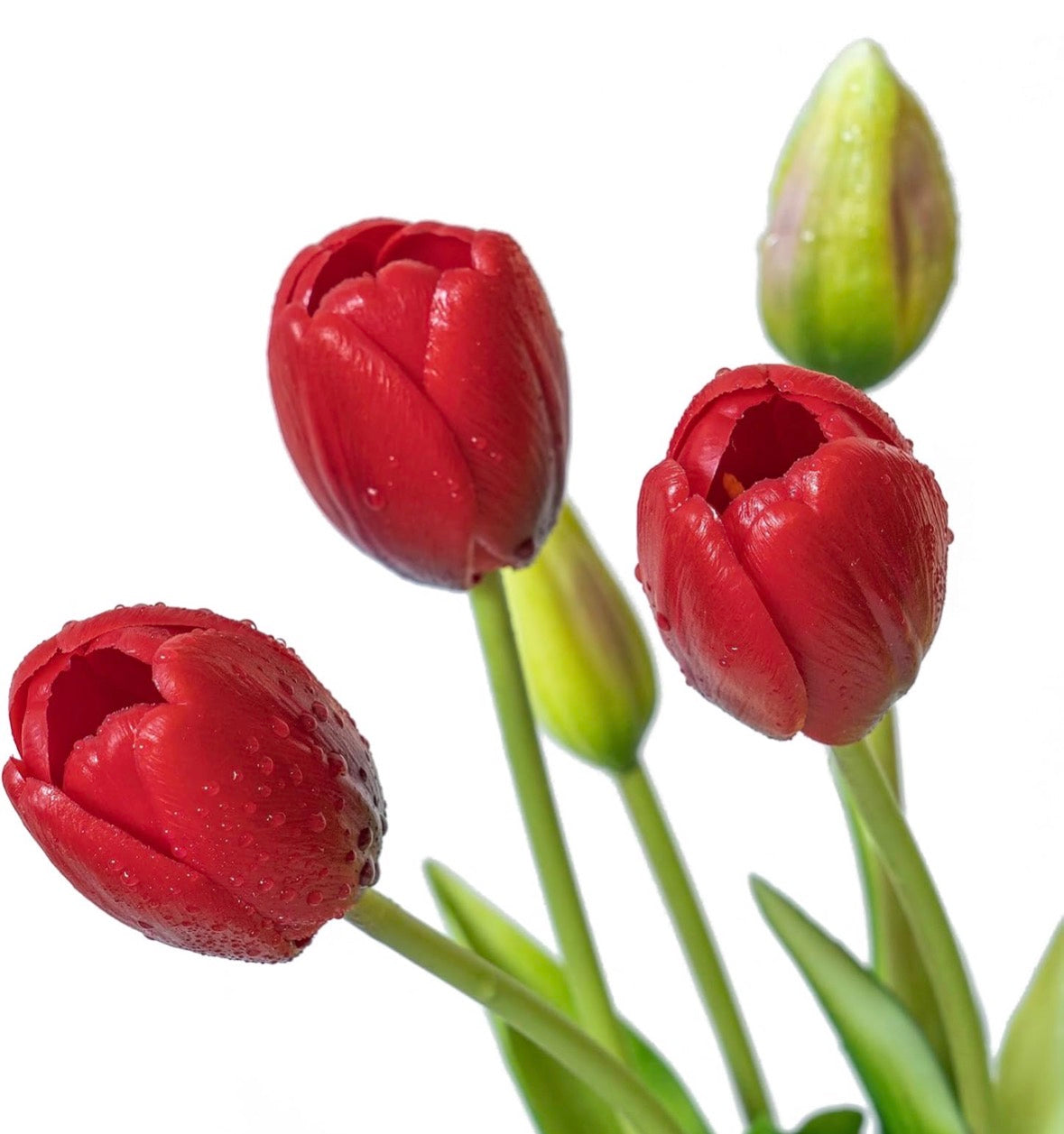 Flores Tulipanes Real Touch VR