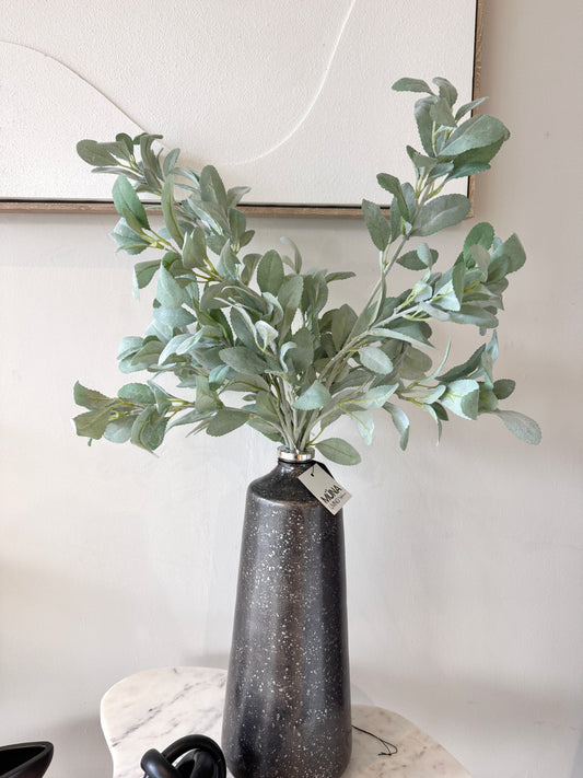 Follaje OREJA DE CORDERO