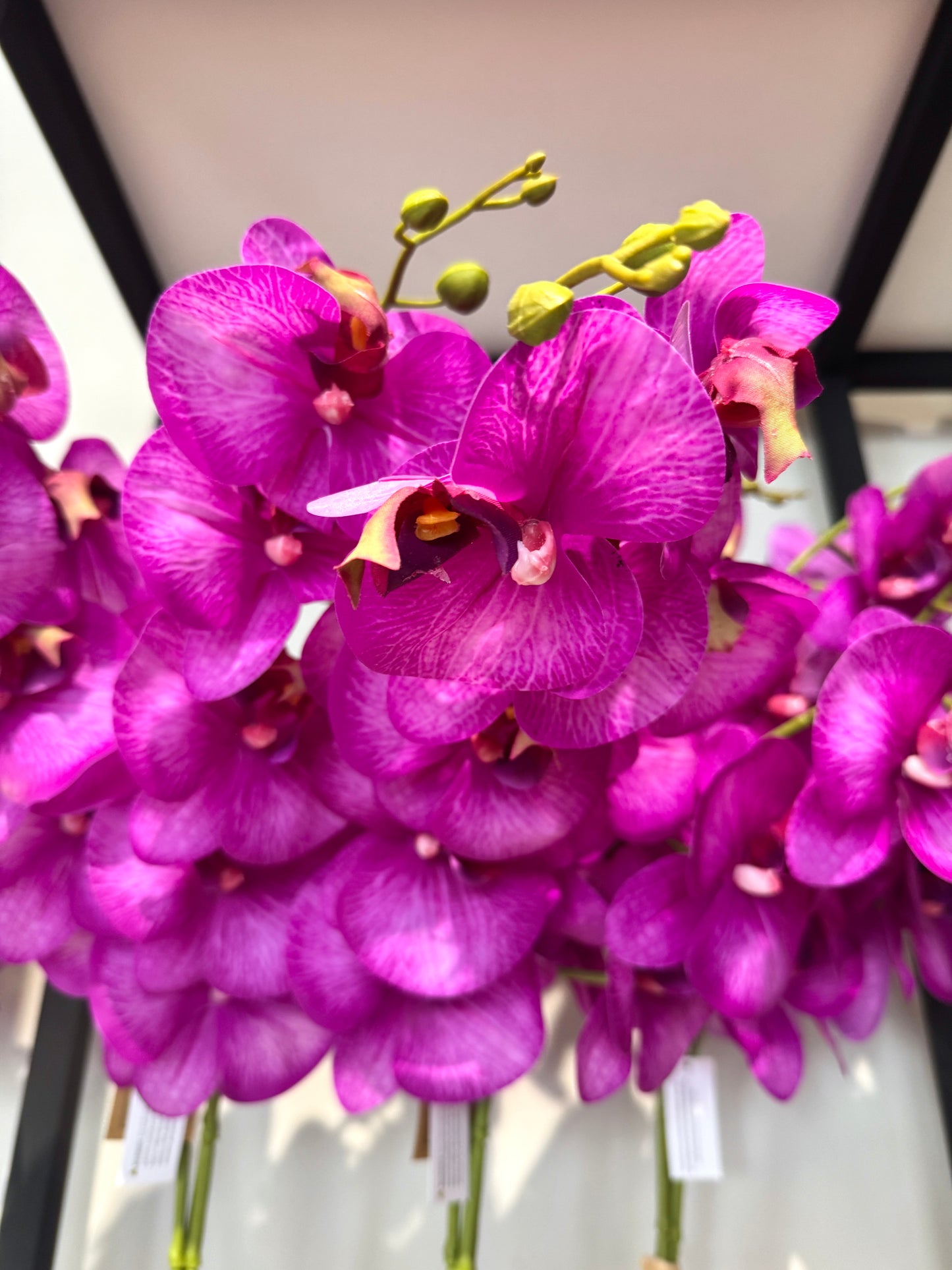 Flor ORQUIDEAS Real Touch VR