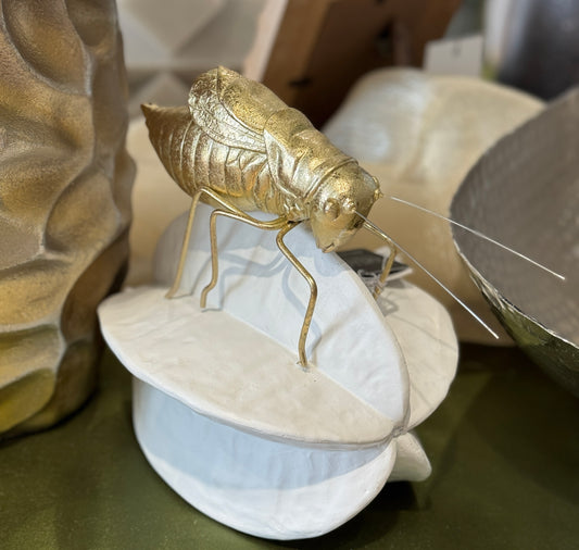 Insecto