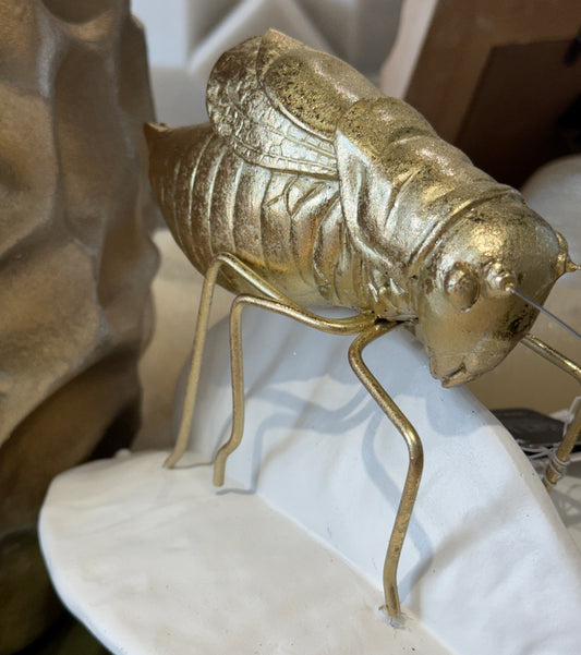 Insecto