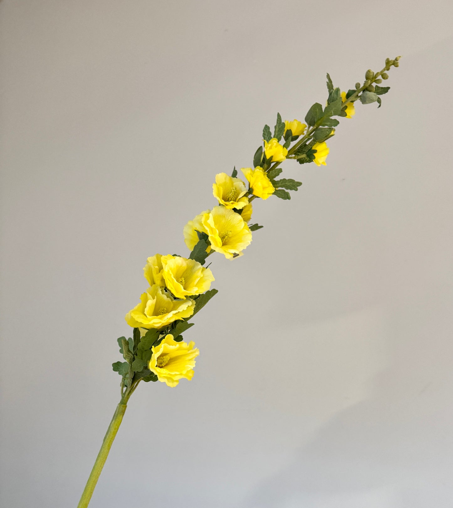 Flor ALCEA VR