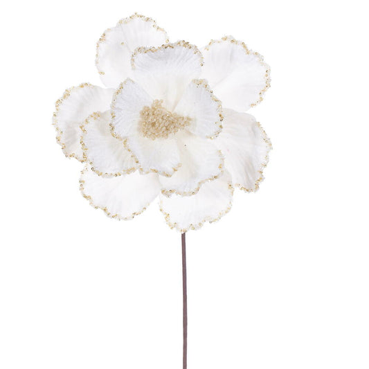 Flores blancas VR / White flowers VR