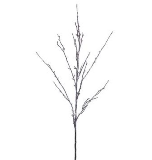 Rama arbol / Tree branch