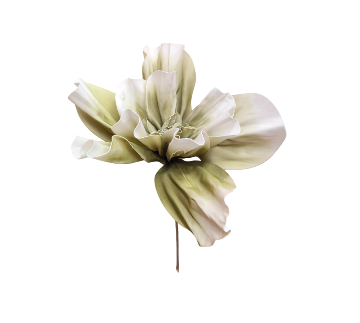 Flor ALMEJA Y LIMON VR
