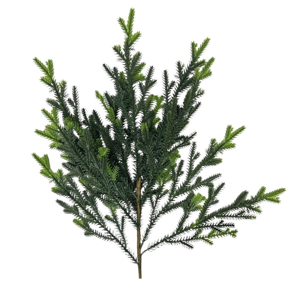 Ramas verdes VR
