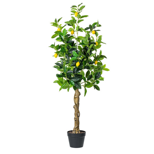 Arbol Limón