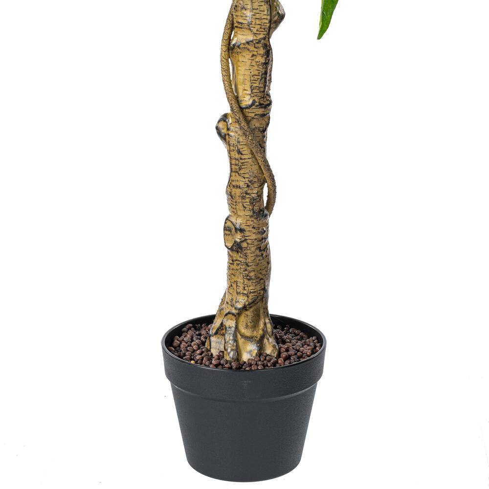 Arbol Limón
