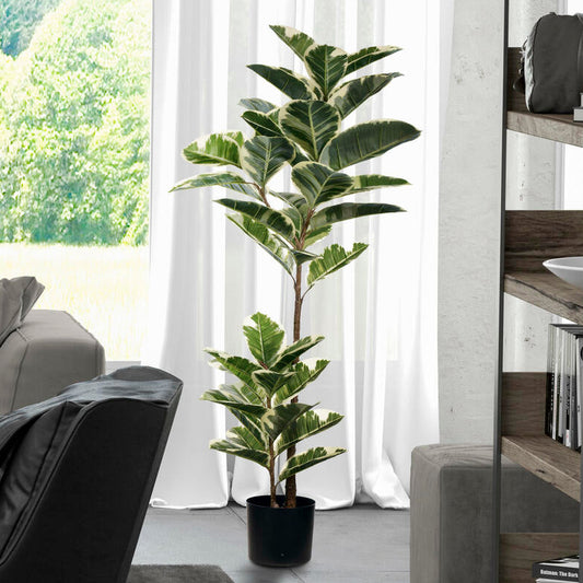 Arbol Dieffenbachia o Amoena Real Touch