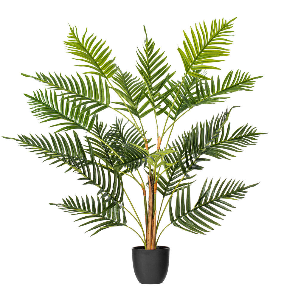 Arbol Palma Helecho Real Touch VR