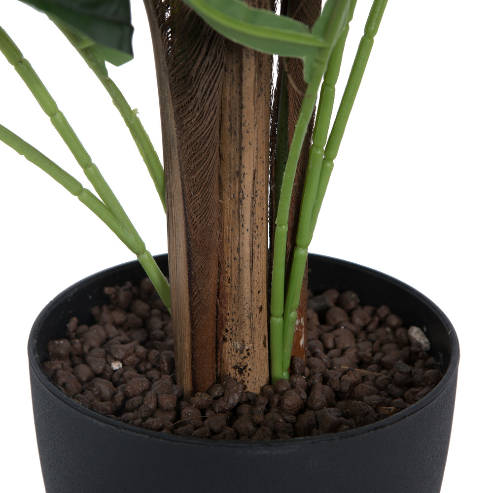 Arbol Palma Helecho Real Touch VR