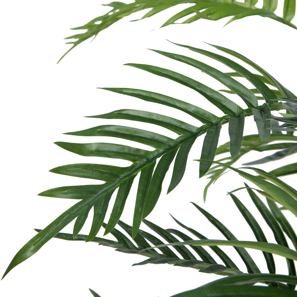 Arbol Palma Helecho Real Touch VR