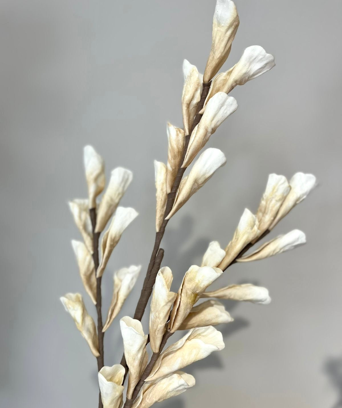 Flores Blancas y Crema VR