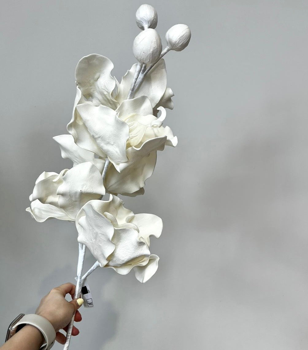 Flores Blancas y Crema VR