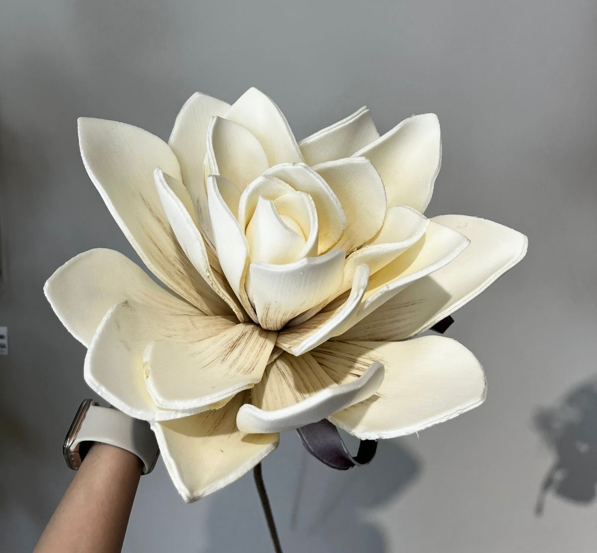 Flores Blancas y Crema VR