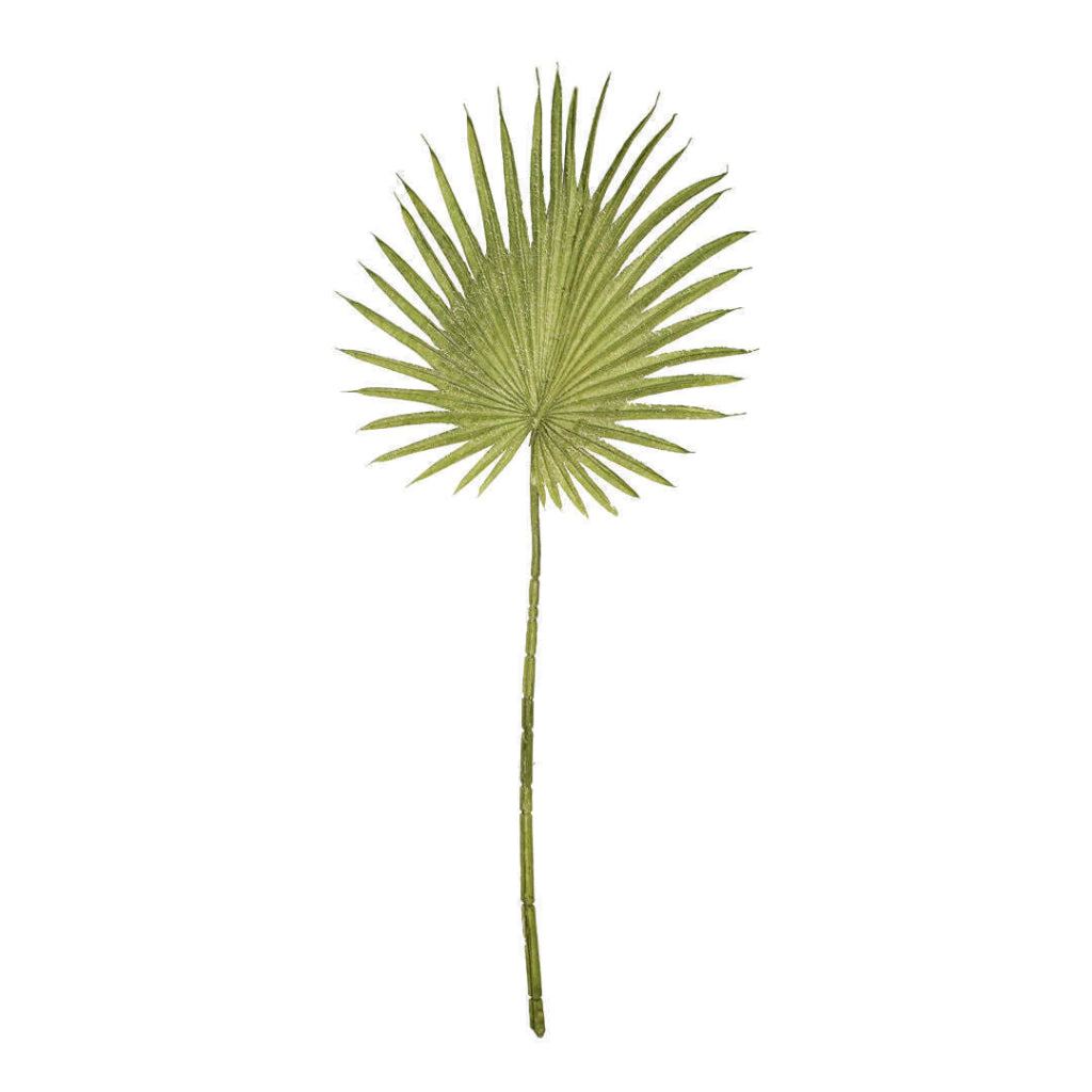 Follaje Plantas verdes VR