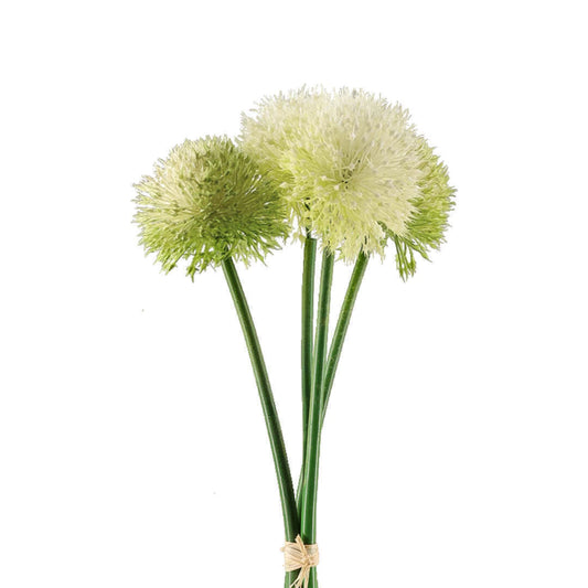 Follaje Planta Scallion y Berries VR