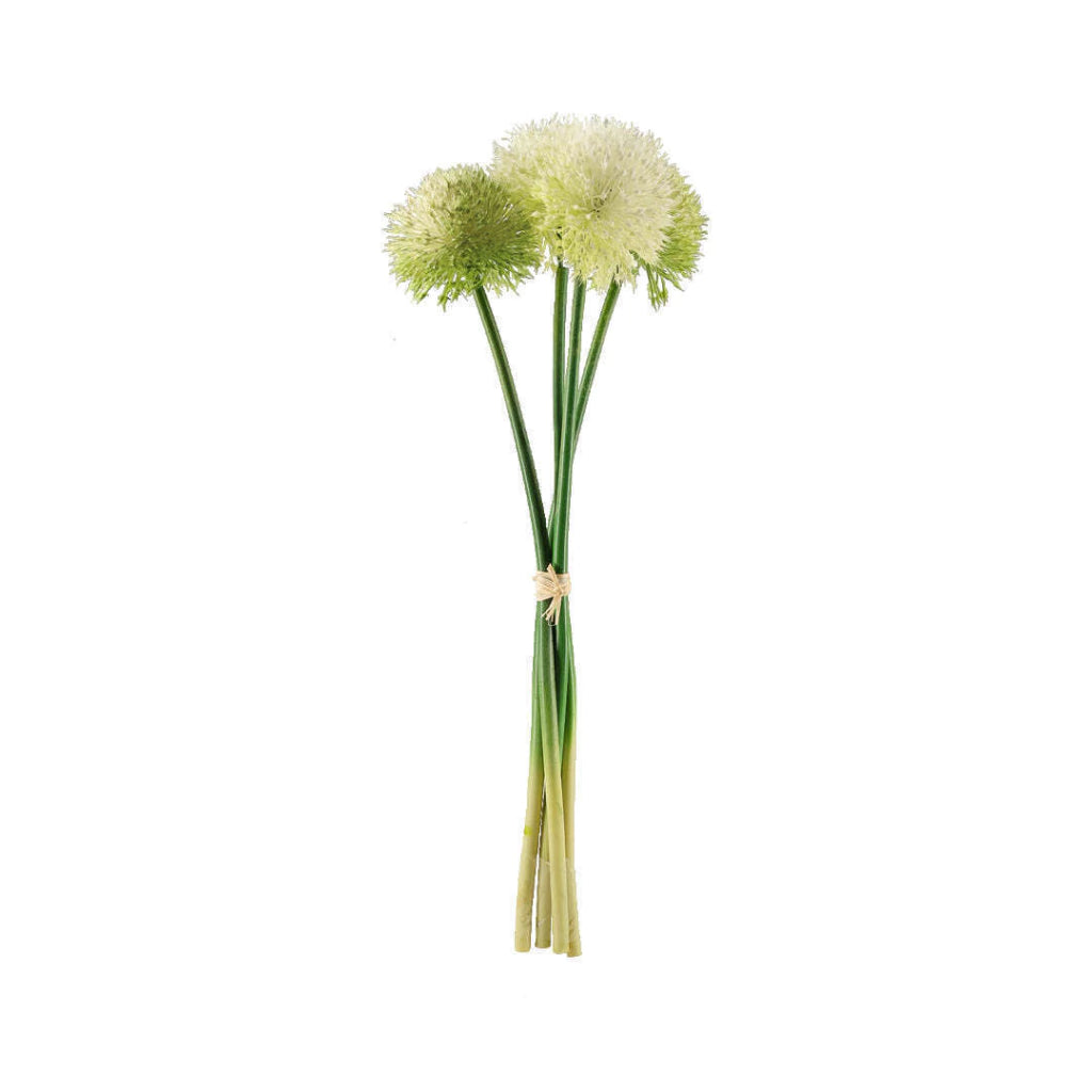 Follaje Planta Scallion y Berries VR