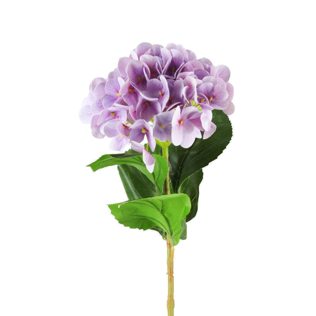Flor HORTENSIA chicas VR