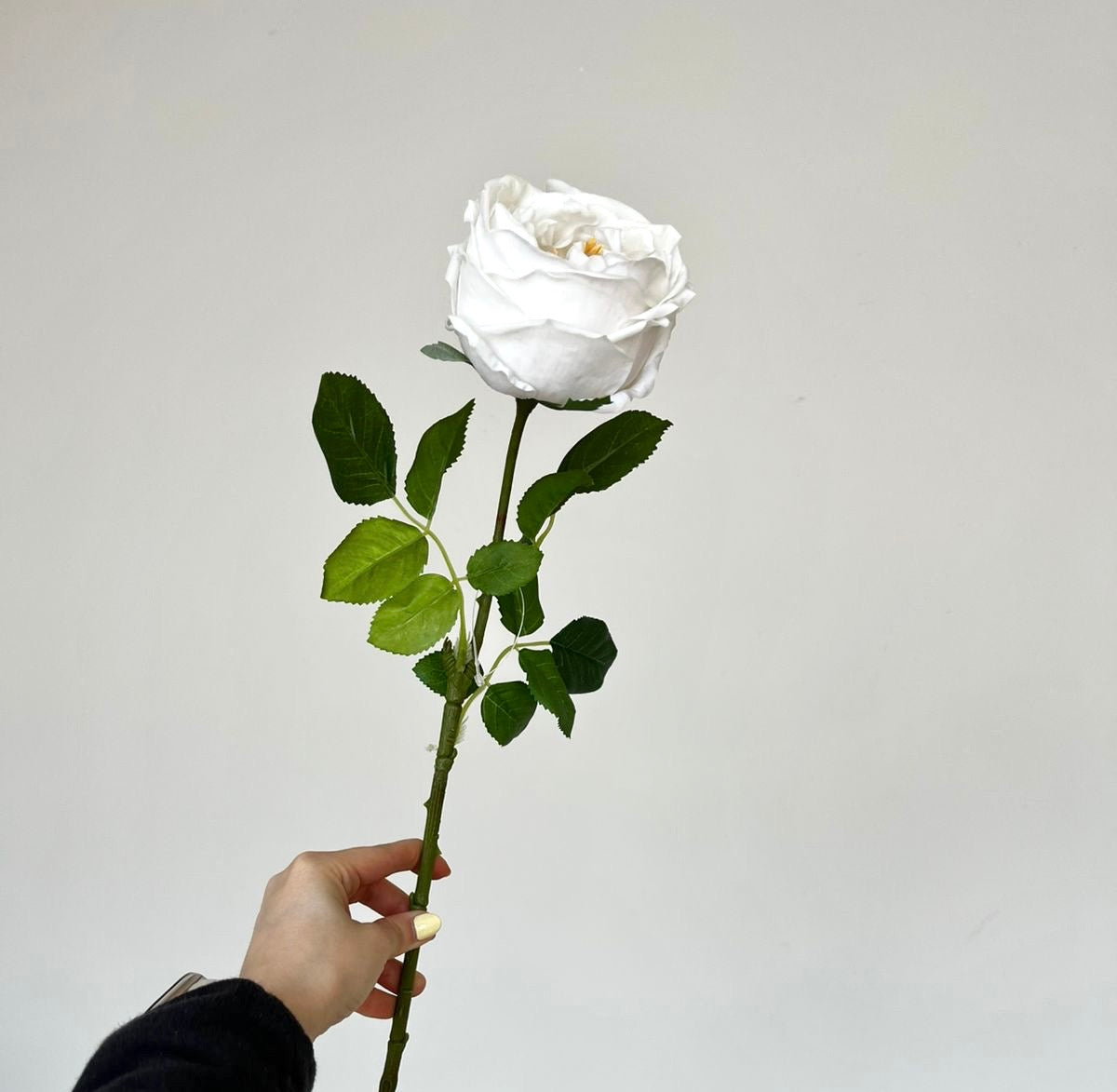 Flor Rosa Inglesa Real Touch