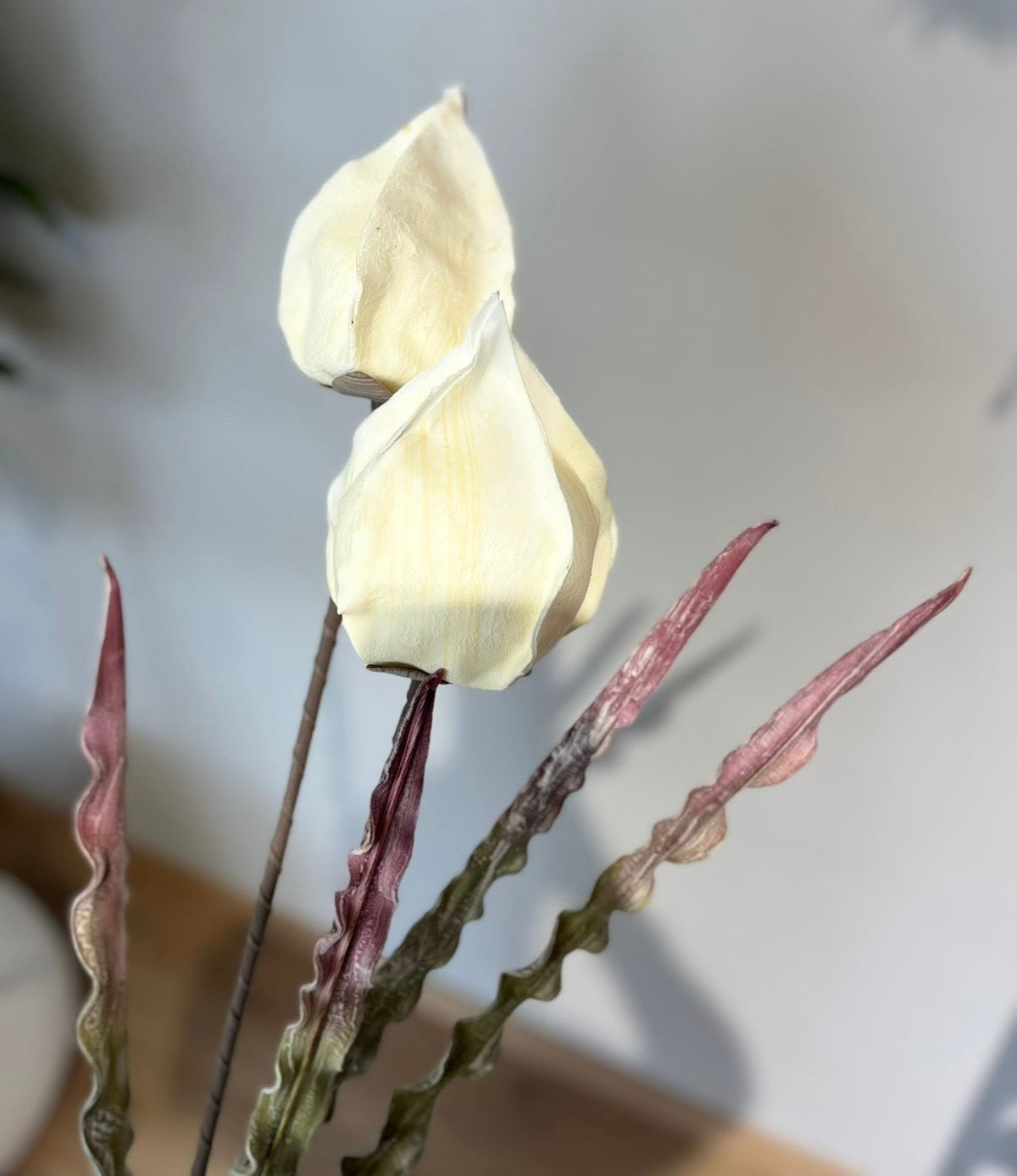 Flor de LINTERNA