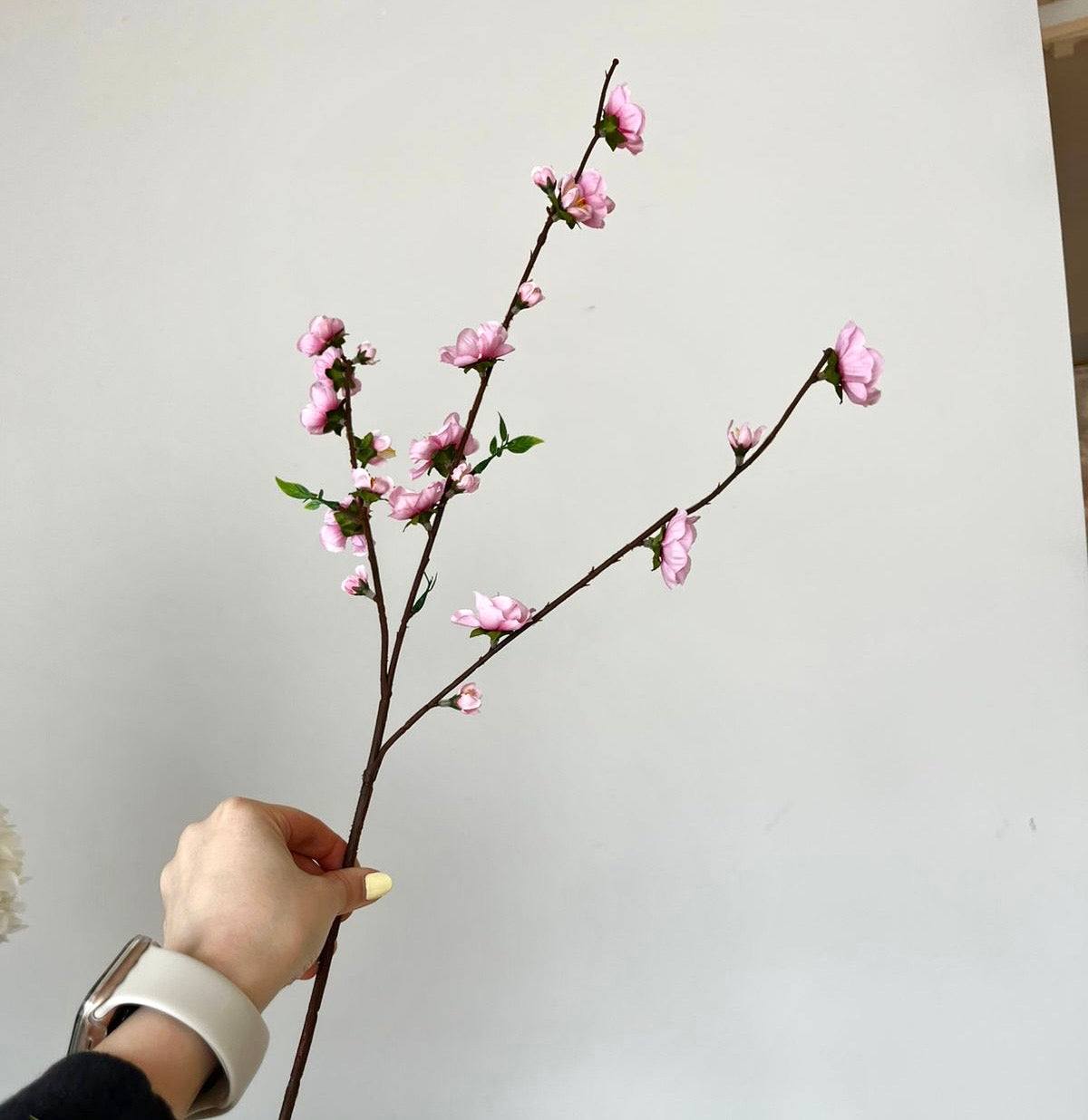 Flor de Cerezo VR