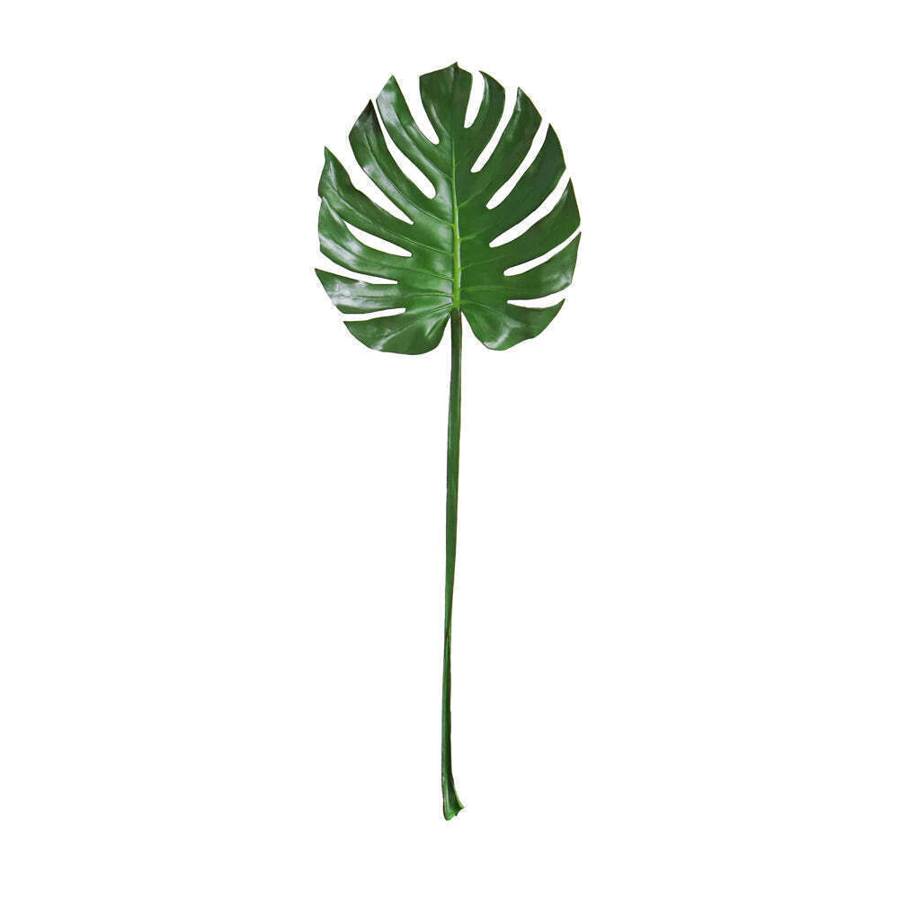 Follaje Planta Montsera Real Touch