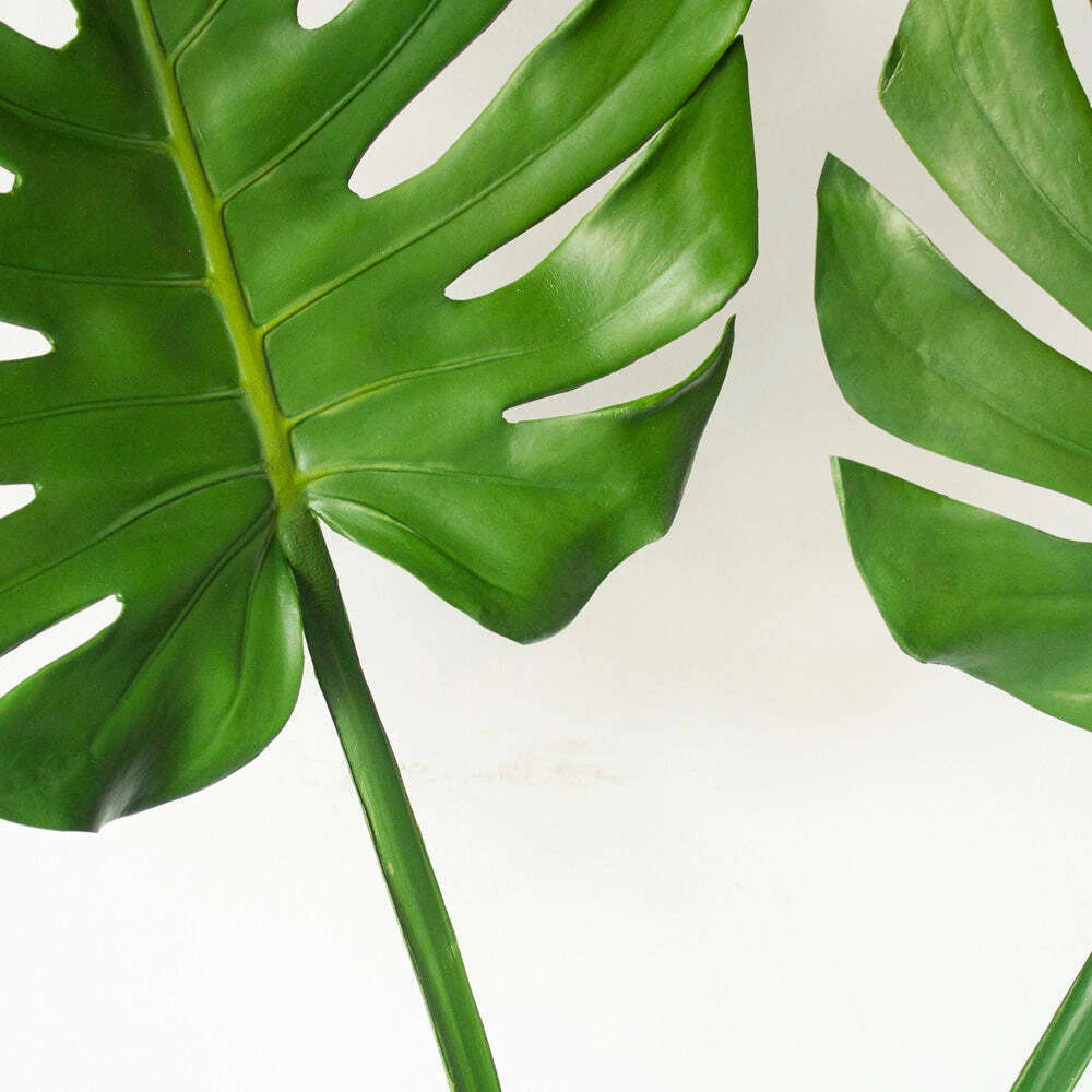 Follaje Planta Montsera Real Touch