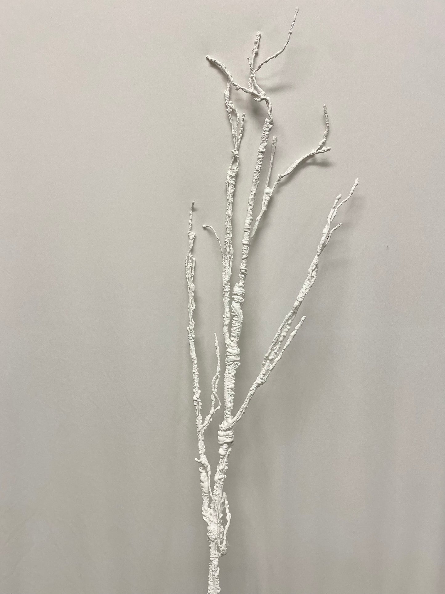 Rama blanca 118cm / 46.5" White branch